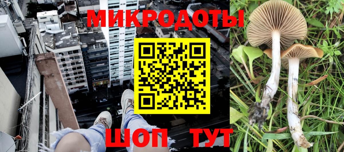 Галлюциногенные грибы мицелий Советский