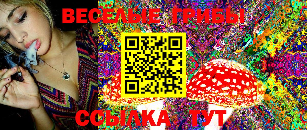 Советский  Псилоцибиновые грибы Psilocybe  Вход с VPN 